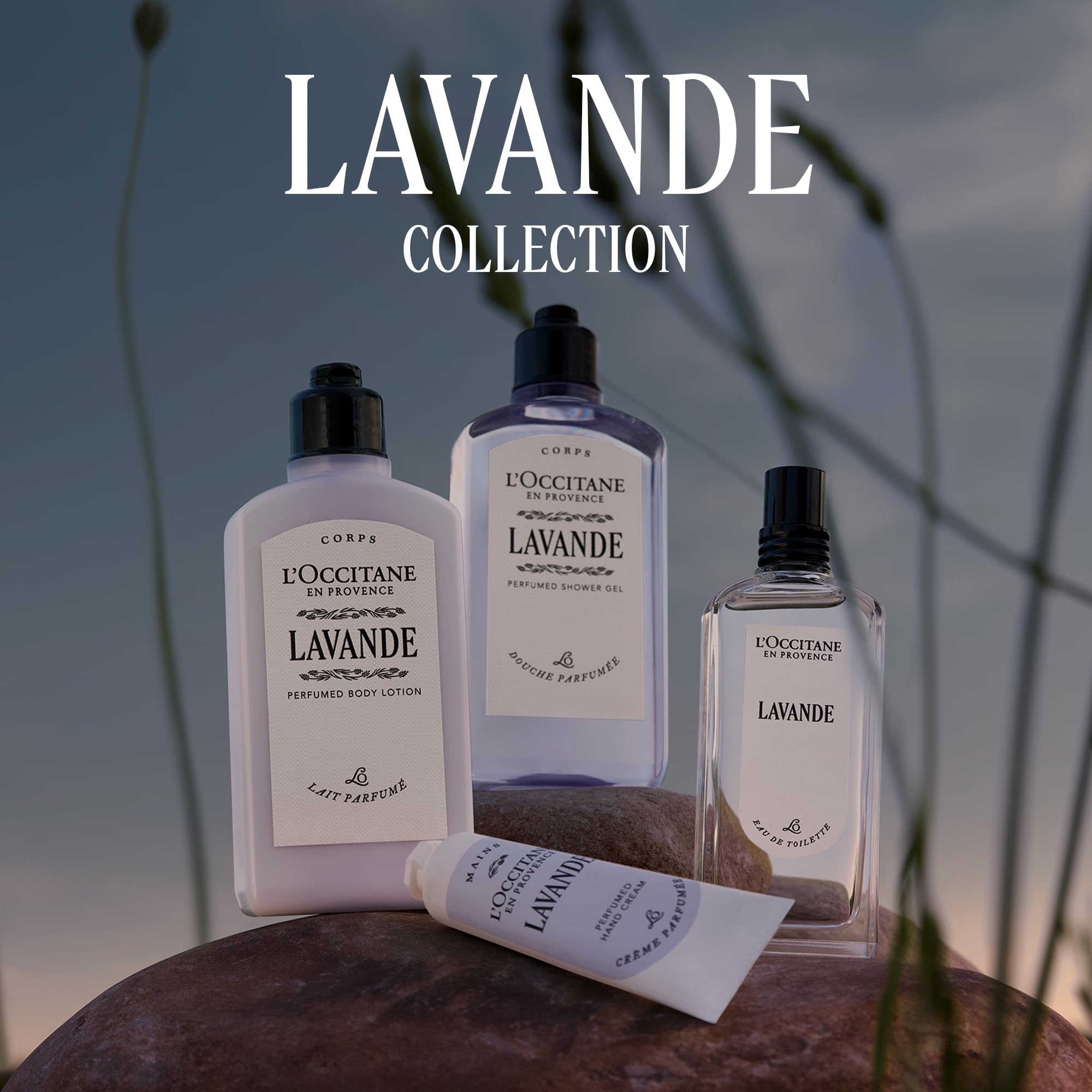Amazon.co.jp: ロクシタン(L'OCCITANE) プロヴァンスアロマ